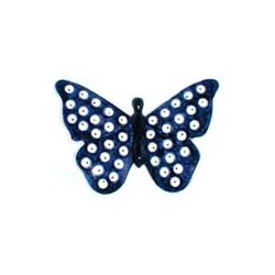 Butterfly in 'blue eyespot'...